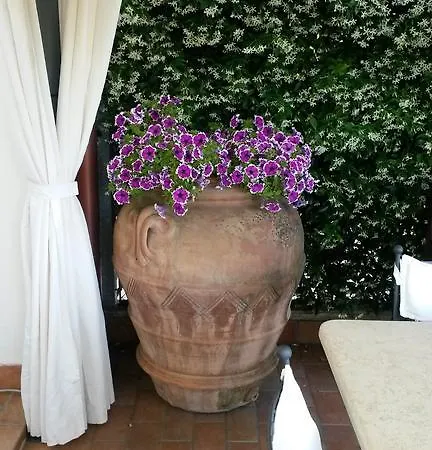 Casa Carlotta Sant'Angelo di Piove di Sacco