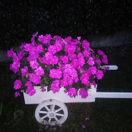 Bed and breakfast Casa Carlotta